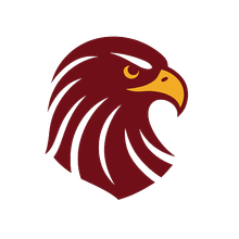 Bald Eagle Software Technologies logo: a stylized bald eagle head in dark red and gold